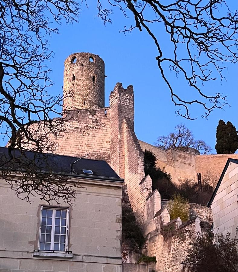Le Rabelais, Superbe Appartement En Duplex, Proche Forteresse Et Monument Historique Chinon Luaran gambar